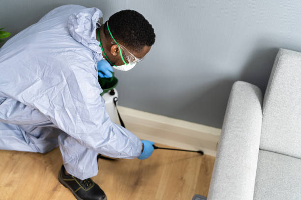 Best Residential Pest Control  in Sandy, UT